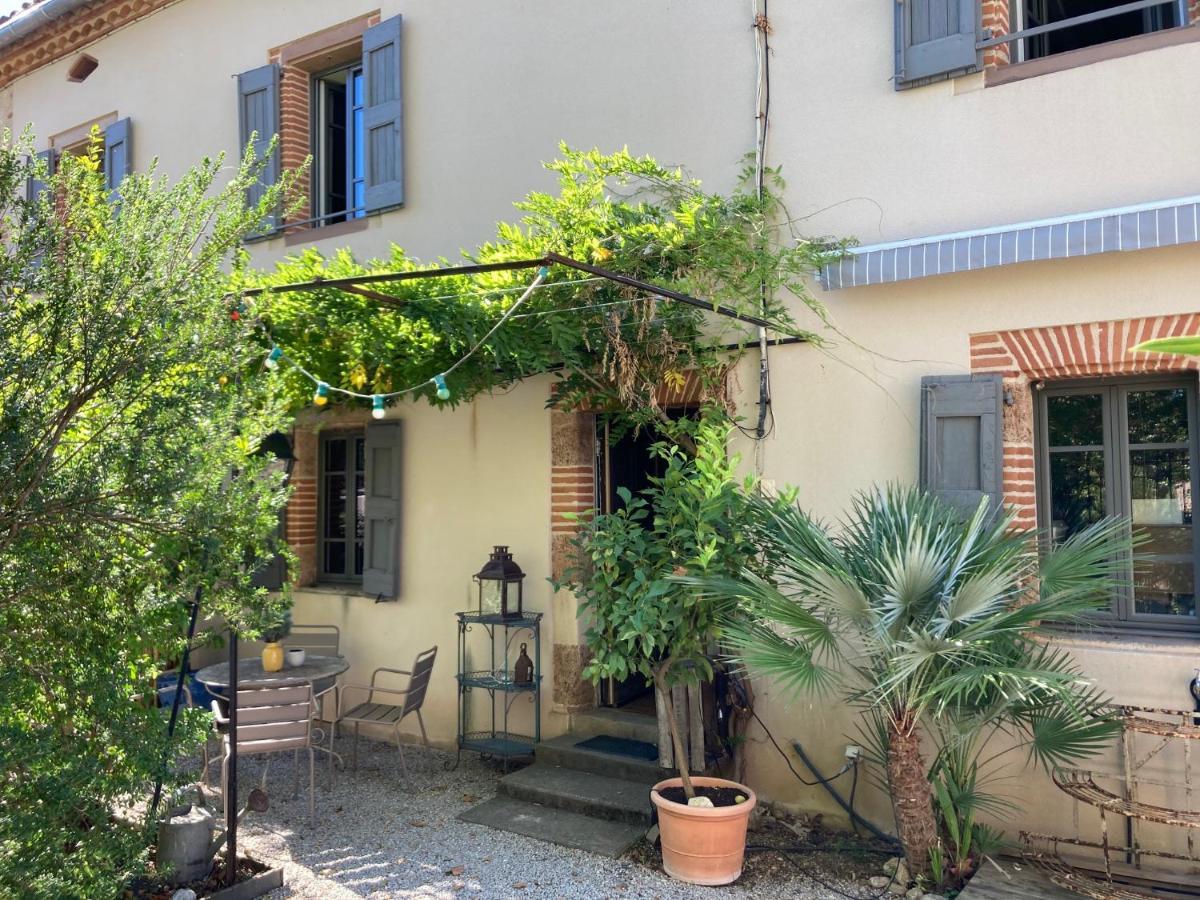 16 Bis-Gite-Hotel-Studio Marssac-sur-Tarn 외부 사진