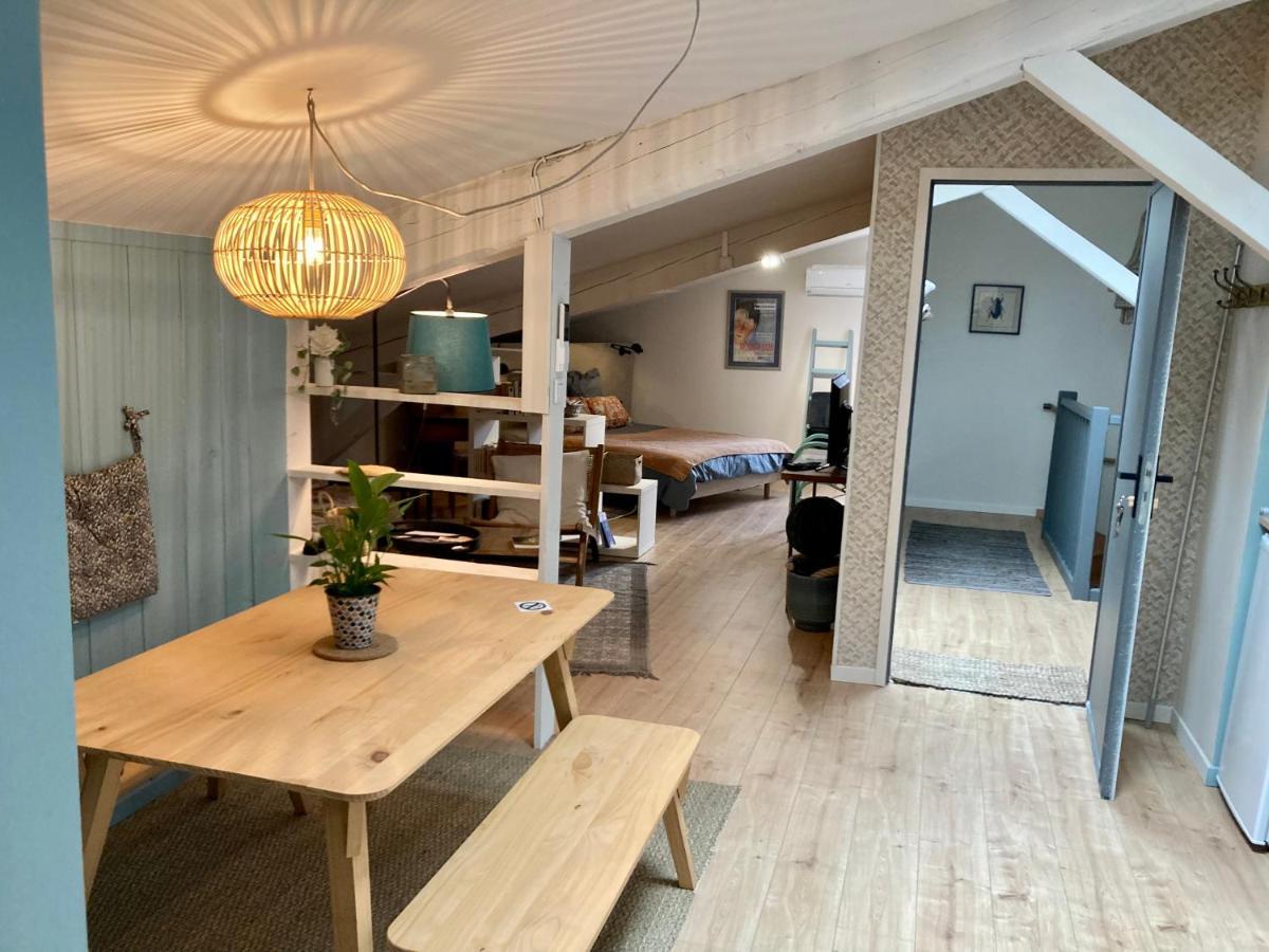 16 Bis-Gite-Hotel-Studio Marssac-sur-Tarn 외부 사진
