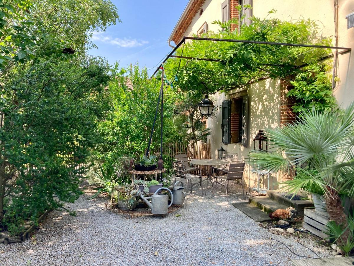 16 Bis-Gite-Hotel-Studio Marssac-sur-Tarn 외부 사진